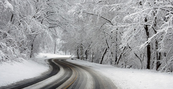 Wintercheck-