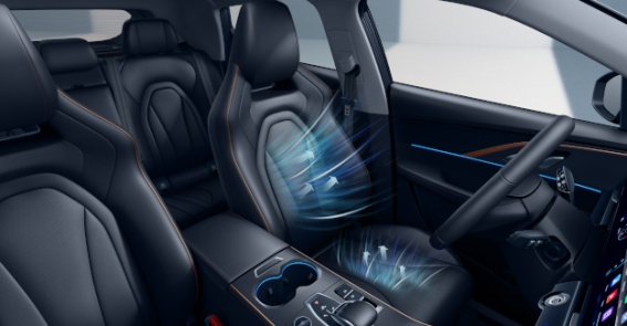 {c_qp_statement_title6}-